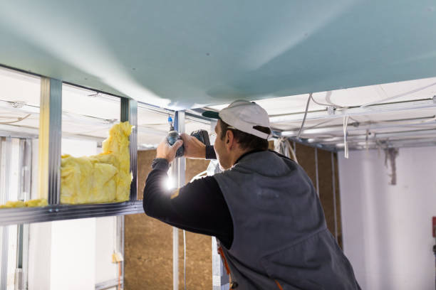 Best Residential Insulation in Alpharetta, GA