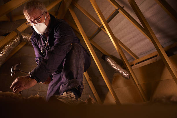 Best Insulation Materials and Products in Alpharetta, GA
